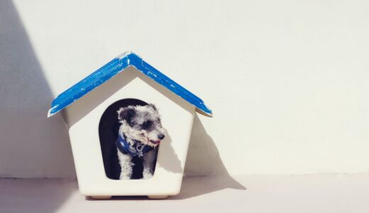 【愛犬との快適な暮らし】小型犬用ケージおすすめランキング10選！使い方や選び方についても紹介！