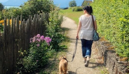 【オシャレで機能的】犬のお散歩バッグおすすめランキング10選！使い方や選び方についても紹介！