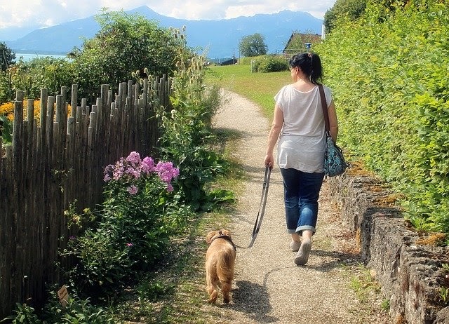【オシャレで機能的】犬のお散歩バッグおすすめランキング10選！使い方や選び方についても紹介！